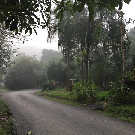 Mae Yao Resort Csiangraj Kültér fotó