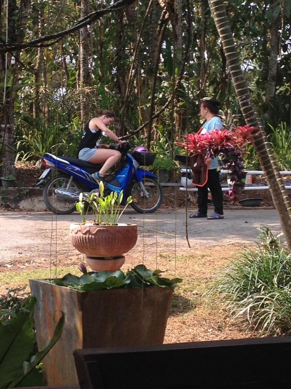 Mae Yao Resort Csiangraj Kültér fotó
